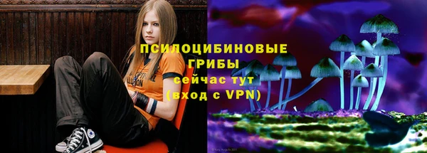 jwh Белокуриха