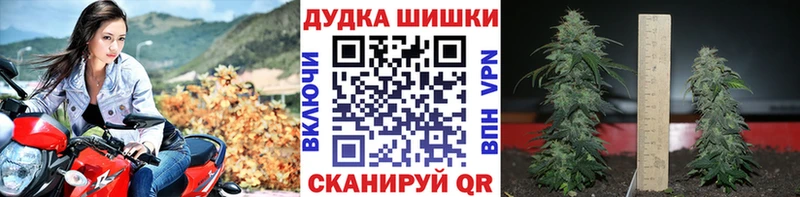 KRAKEN зеркало  Верея  Бошки Шишки марихуана 